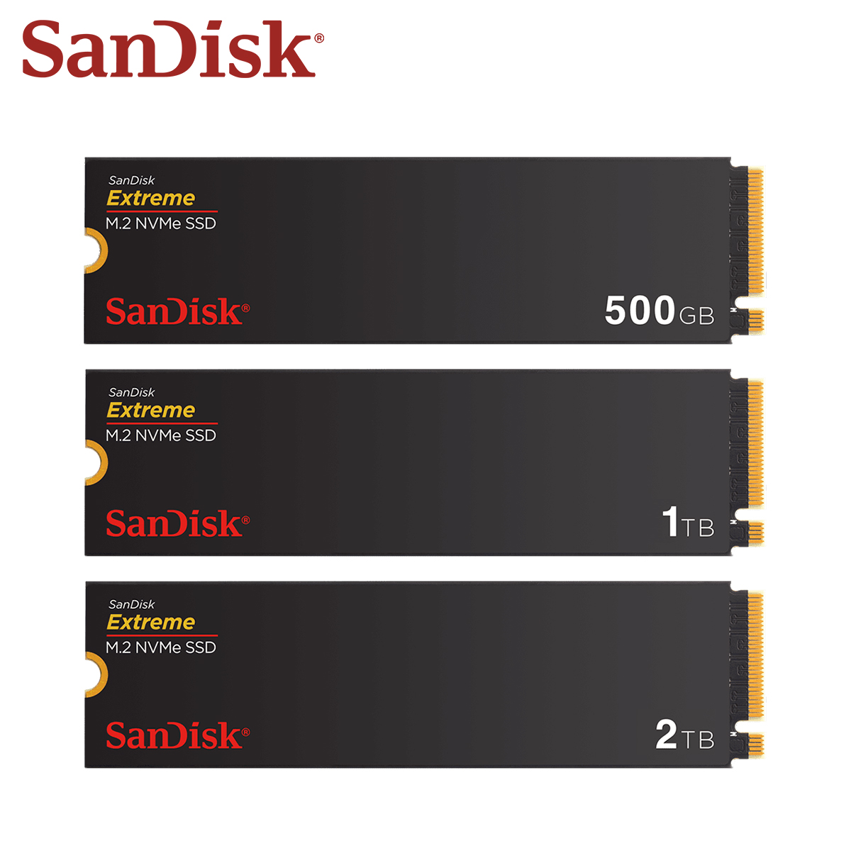 SanDisk Extreme M.2 2280 NVMe  - Samsung Ssd 980 Pro recensione e prezzo